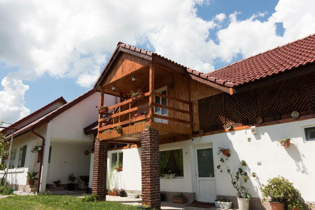 Casa De Vacanta Marya Baia de Fier Exterior foto